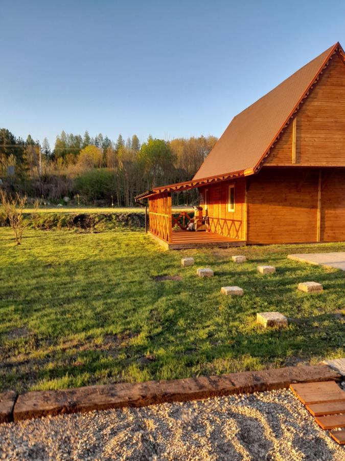 Bed and Breakfast Pensjonat Agroturystyczny Pod Modrzewiem Florczaki Exterior foto