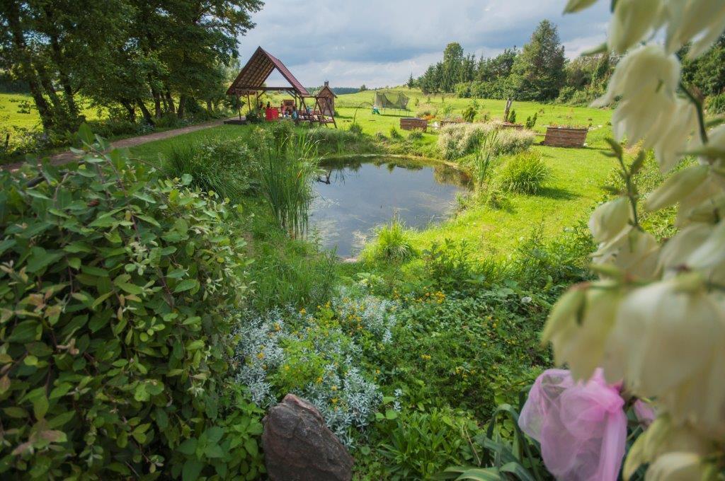 Bed and Breakfast Pensjonat Agroturystyczny Pod Modrzewiem Florczaki Exterior foto